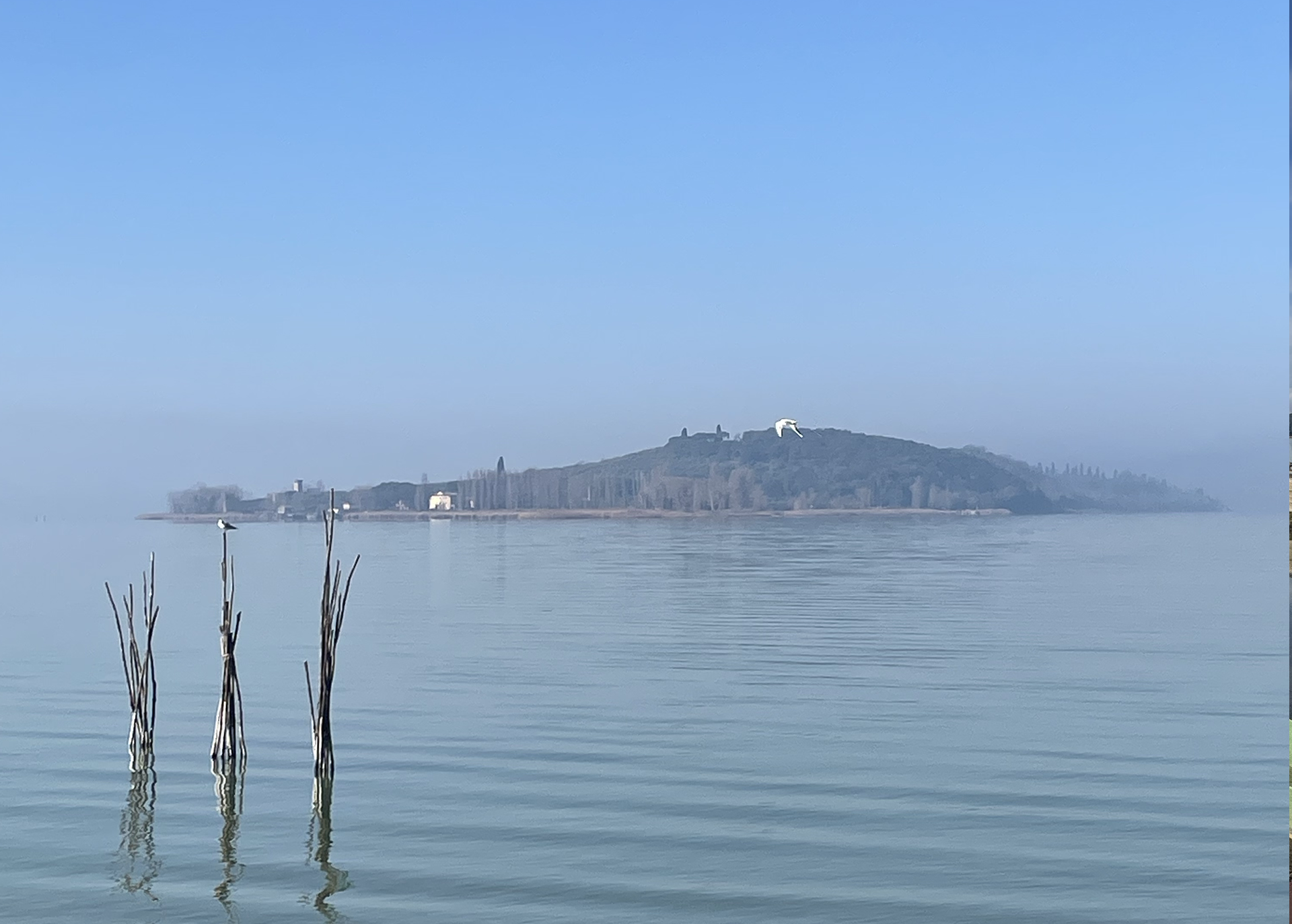 isola-polvese